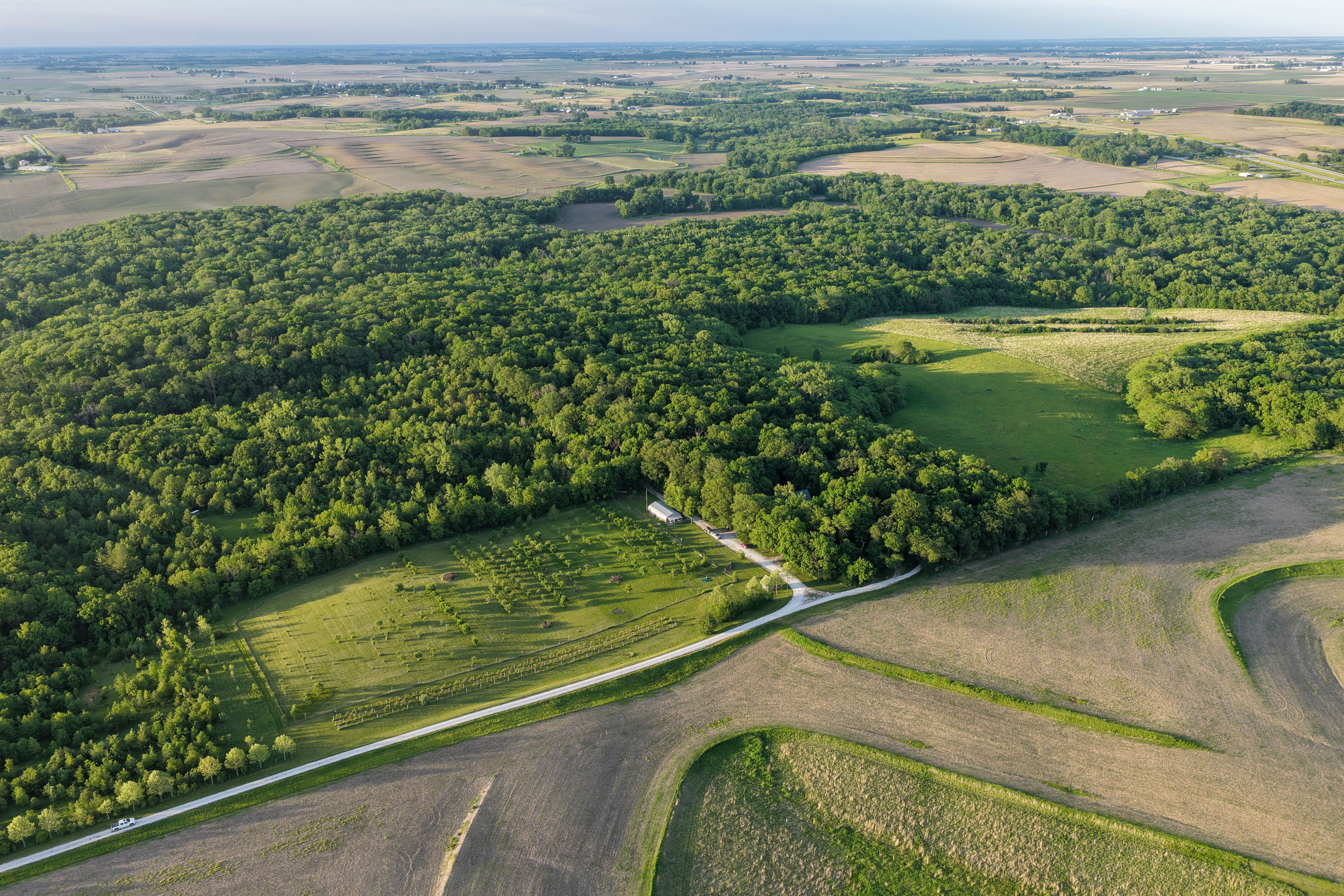 Listing Photo: Washington County Iowa Recreational Land For Sale-73